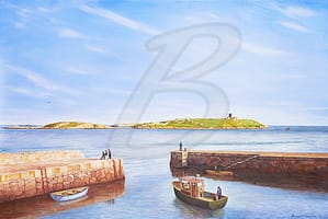 Dalkey Island, Deilginis